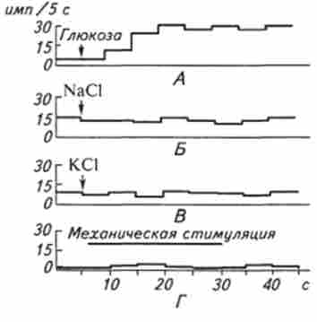 ó�������� ������ ������ ��������� ���������, �� ���������� ������������� �������������� ���������