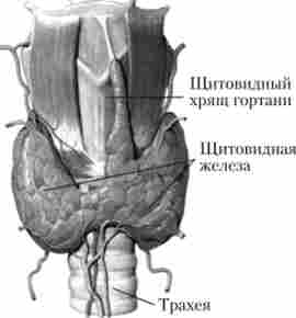 ��������� ������