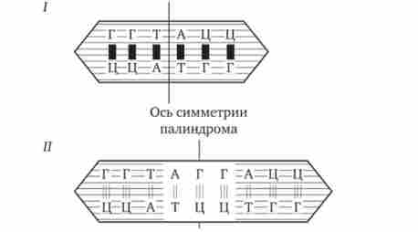 ������� ��� � �������� ������� - ��������