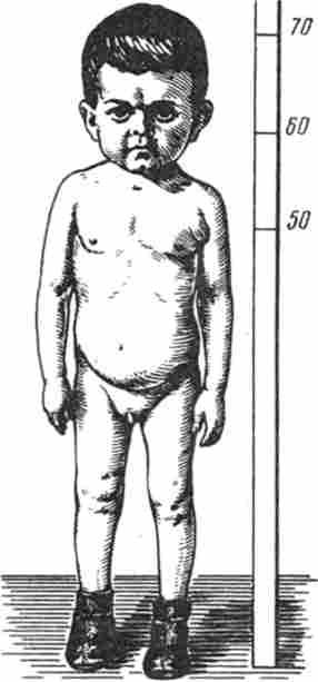 ó��������� �����������. ������� 14 ����