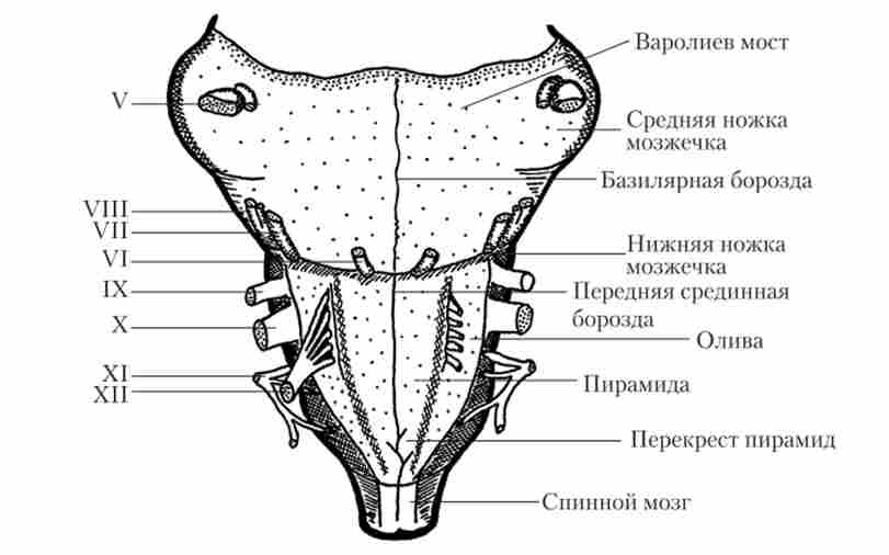 ���������� �������� �������� �����