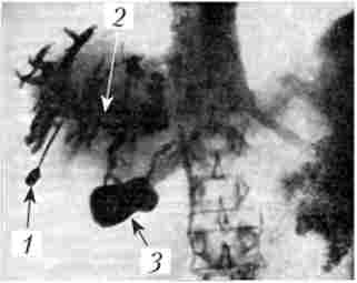 ���������� �������������������