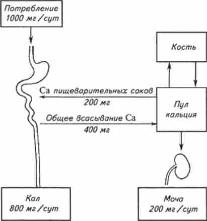 ���� ������� �� ������ ��������-��������� ������, ����� � ������� �������