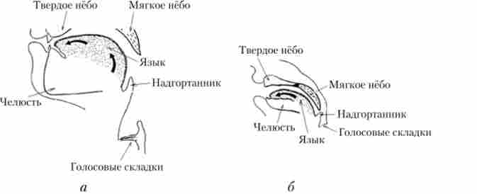 �������� ������ ��������� (�) � ������ (�)