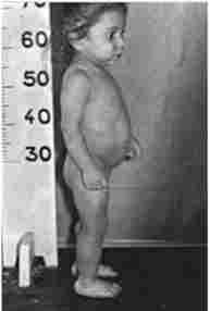 ó��������� ��������� ������ (�������� ����� � ������� �'��� ����)