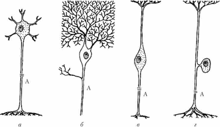 ����������� �������������� �������� �����