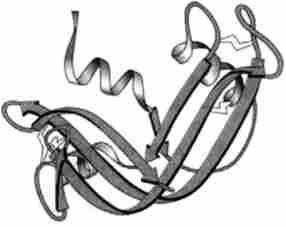 �������� ��������� �����������