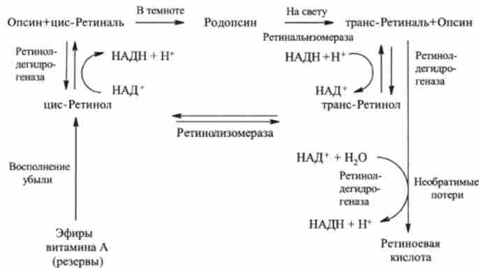 ���������� ������������ ������ � � ������ �������������