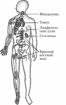 ������ ������������� ������