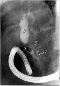 ����������� ����������� ����������������������. ��� ������� ���������� ������, ��������� ���������