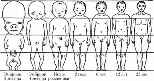 ���� ��������� ������ ��� � ���������