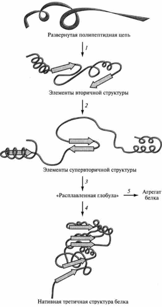 ����� ��������� ������������� ������� � ������� ����������� ����