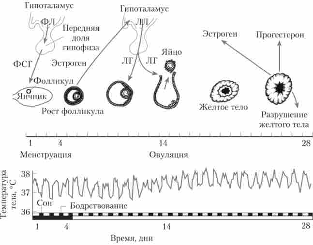 ��������� �������������� ����� ��������� ����������� � �������