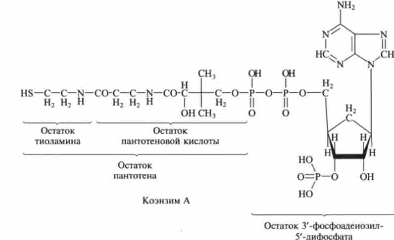 /2.4. ��������� �������� �������� �