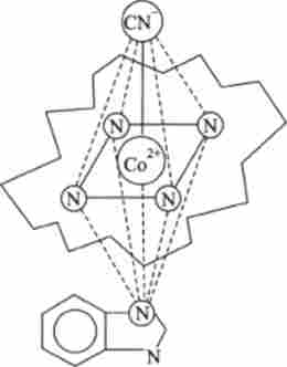 ������ �������� ������ � |