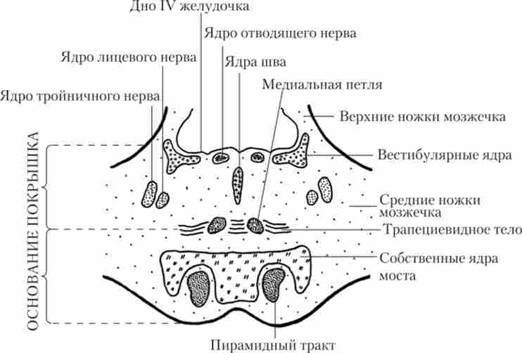���������� ����� ����� �������� ���