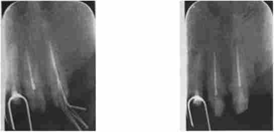 ³��������. ������� �., 67 ����, �����������. �������- �������� ����������� ��������� ������ ���� 1.1 � 2.1. � ���������� ����� ���� 2.1 ���������� ������