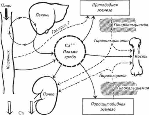 ����� ��������� ������� �������