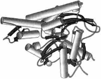 �������� ��������� �������� hsp70 (no PDB-2001) (Prodronwu, �., Roe, S. �., O'Brien, R., Ladbury, J. E.. Piper, P. W., Pearl, L., Hne., Cell, 90, p. 65, 1997)