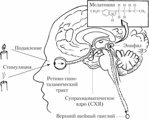 ��������� ������ ������