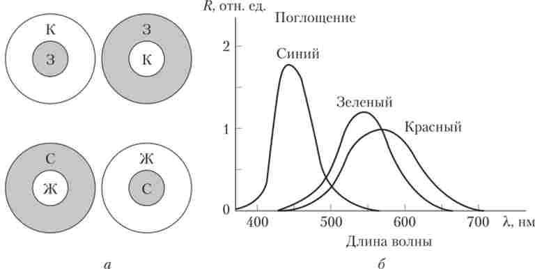 ���������� �� ����� �������� ����