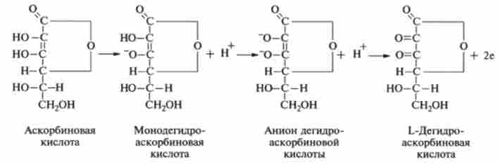�������� ��������� L-���������� ������� � L-����������������� �������