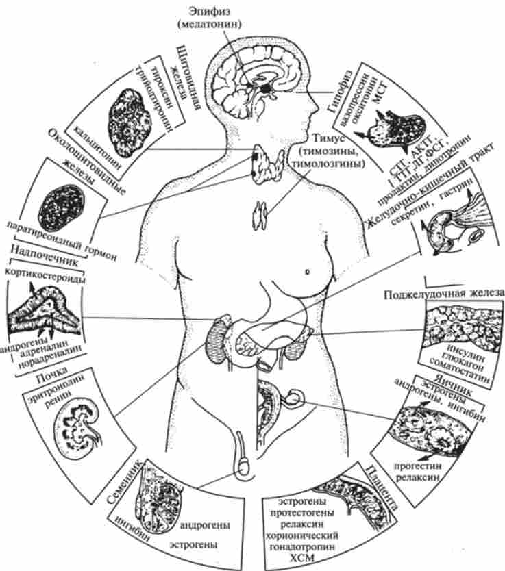 ������ ��������� �������� � ������������ ���� �������