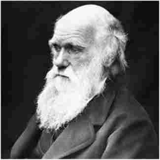 ������ ������ ����� (Charles Robert Darwin) (1809-1882) - �������� ���������� ���������, ������� ������������ ������ ��� ���������� ���� ������ ���������� ������