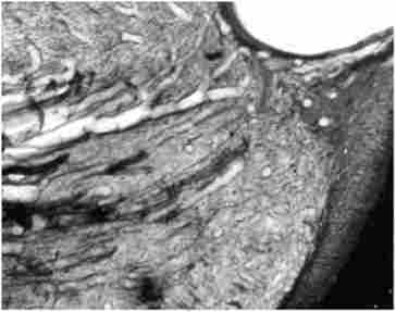 ��������� �� ���� �������, ������� ������, 28-� ���� ���� ������. ��������� �� ������ ��� ������������, �������� � ����������� ������������ ������