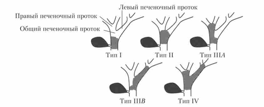 �������� ��������� ������� �� ������� ��������