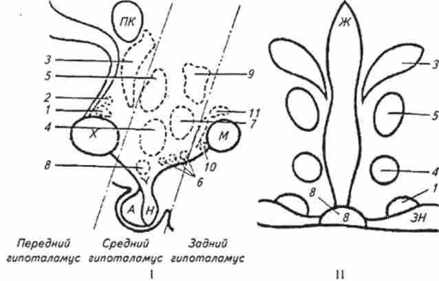 ����� ������������ ���� � ����������