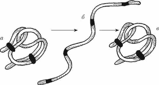 �������� ����������� ����