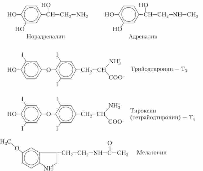 ������ �������� ��������� ���� ����������� �����, ��������� �������� ��������� ������ (� � �) � ������� ������ ����������