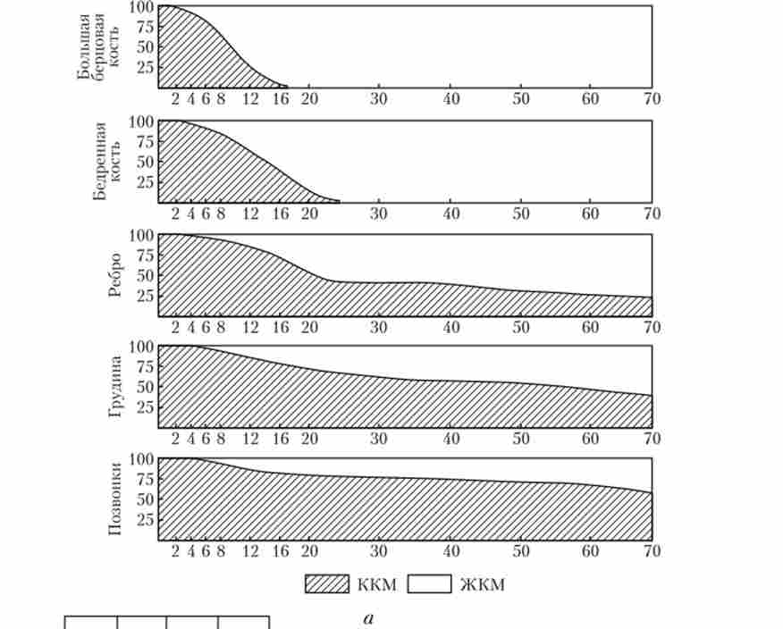 ���� ������������ ��������� (���) � ������� (���) ��������� ����� � ����,% (�). ���� ���� ������ ��������� ����� � ��������� ��������� ����� � ��������� �� ��� (�)