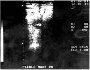 ������������ ���������� ����� �� ��������� ���. ��� ��� ���������� ������