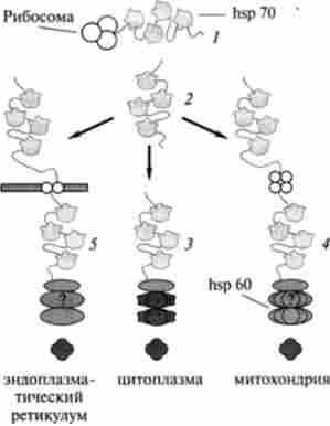 ������ ��������� � ����������� � ��������� ���� � ��������� ����� ������� (�� �. �. ������� ��� �����)