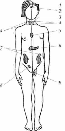 ���������� ������������ �������� ����� ��������� ��������