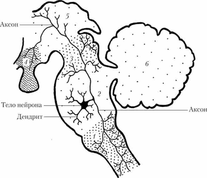 ������ ����������� �������� � ������������ ���� ������