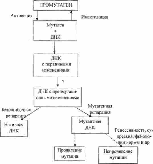 ��������� ����� ���������� �� ������ �������