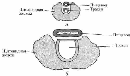 ���������� ��� ��������� ������ �� ���� ���������