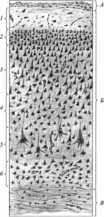 ������ ������� ������ ��������� ����� (�� �. �. ������ � ������.)