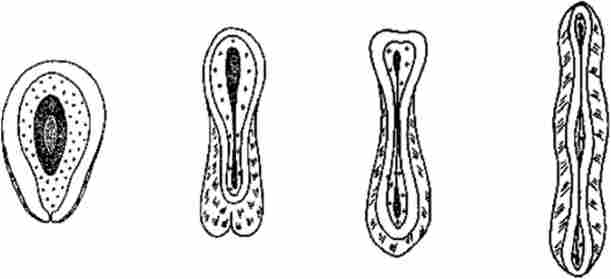 ������ � ������ �������