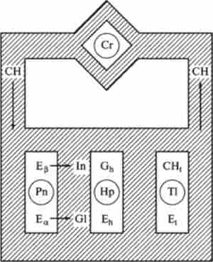 ����� ������ ����� ������������ ������� �� � ���� ������