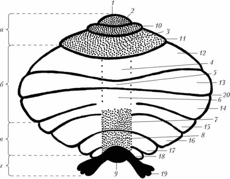 ������ � �������� �������