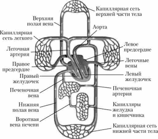 ����� ��������� ������