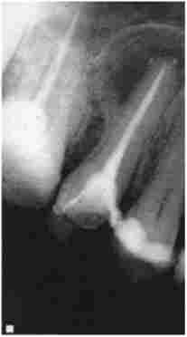 �������� ��������. �����������. �������� ����������� ���������� ������ ���� 1.5. ������������� ������������ ����� � ����������� � �������� ������; ��������� ������ ���������