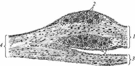 ������ ��������������� ������