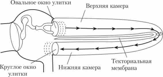 ������ �������