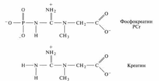 ������ ������� ������������� � ��������