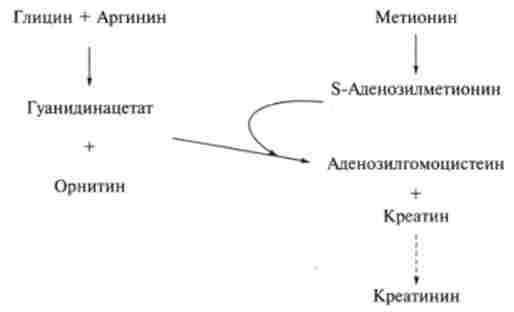 /3.10. ��������� �������� � ����������